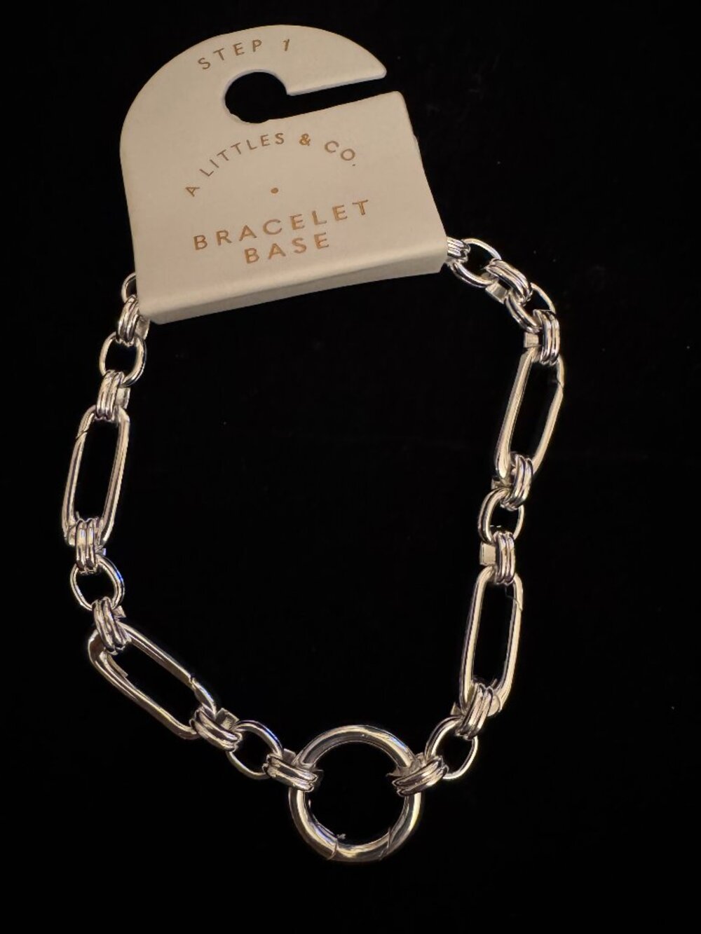 A Littles & Co. Chunky Oval Charm Bracelet – Silver – NWT ✨